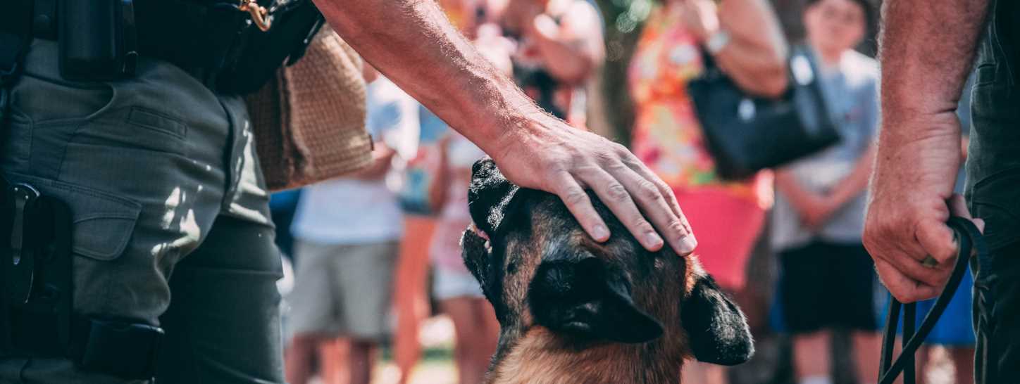 Man in a black shirt holding a brown and black dog during daytime.